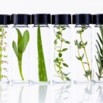 Cultiva-aceste-3-plante-tamaduitoare-in-propriul-camin-pentru-a-te-proteja-de-boli.jpg