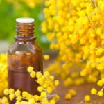 Multiple-moduri-in-care-putem-utiliza-uleiul-esential-de-mimoza.jpg